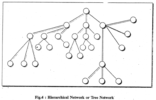 1732_network of library2.png